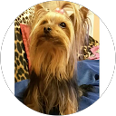 Carla Brancher profile picture